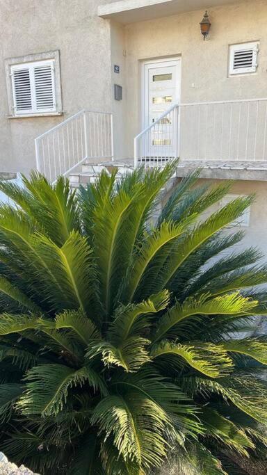 Apartment Biggy Cavtat Buitenkant foto